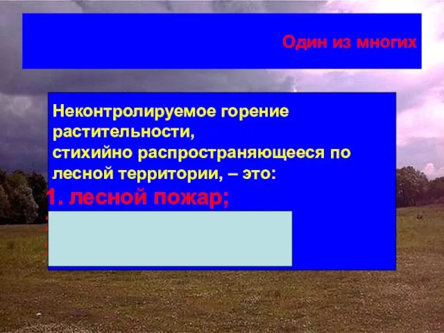 Один из многих Неконтролируемое горение растительности, стихийно распространяющееся по лесной территории, –