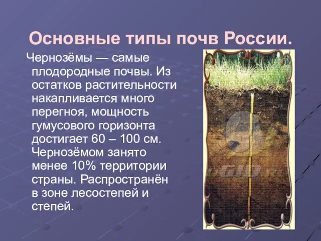Основные типы почв России. Чернозёмы — самые плодородные почвы. Из остатков растительности