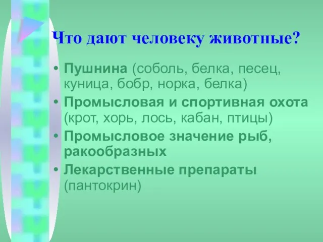 Что дают человеку животные? Пушнина (соболь, белка, песец, куница, бобр, норка, белка)