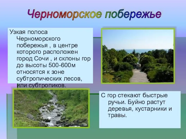 Узкая полоса Черноморского побережья , в центре которого расположен город Сочи ,