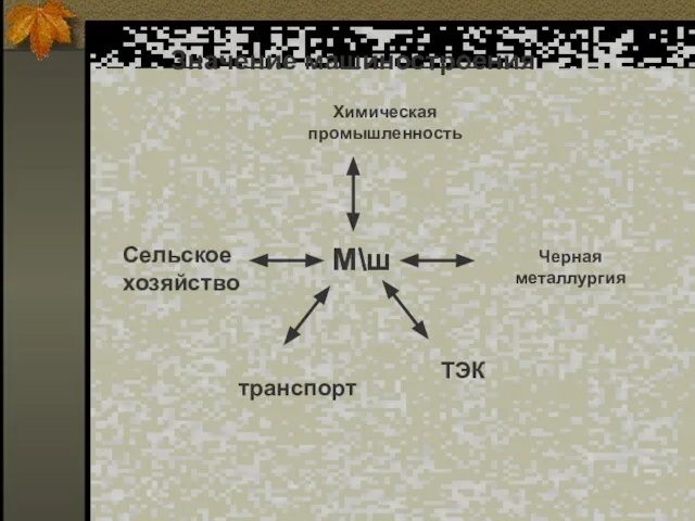 Значение машиностроения М\ш М\ш Химическая промышленность Черная металлургия Сельское хозяйство транспорт ТЭК