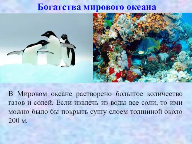 Богатства мирового океана В Мировом океане растворено большое количество газов и солей.