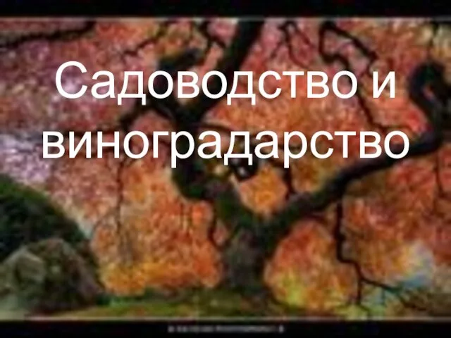 Презентация на тему Садоводство и виноградарство