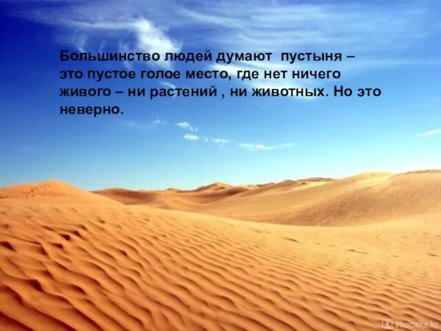 Большинство людей думают пустыня – это пустое голое место, где нет ничего