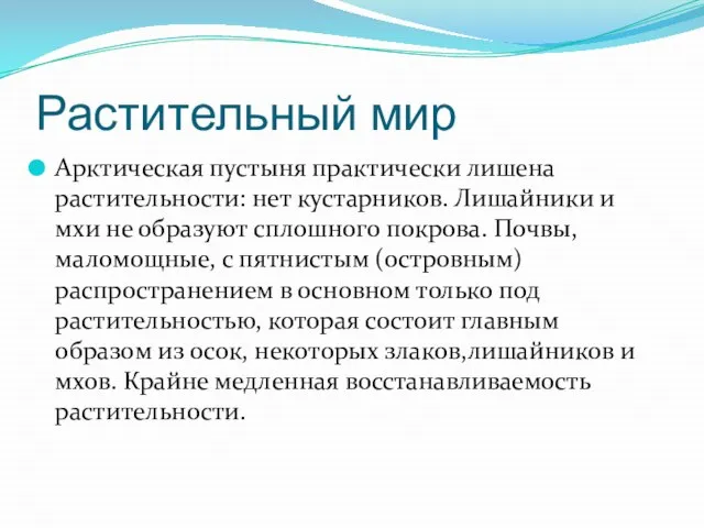 Растительный мир Арктическая пустыня практически лишена растительности: нет кустарников. Лишайники и мхи