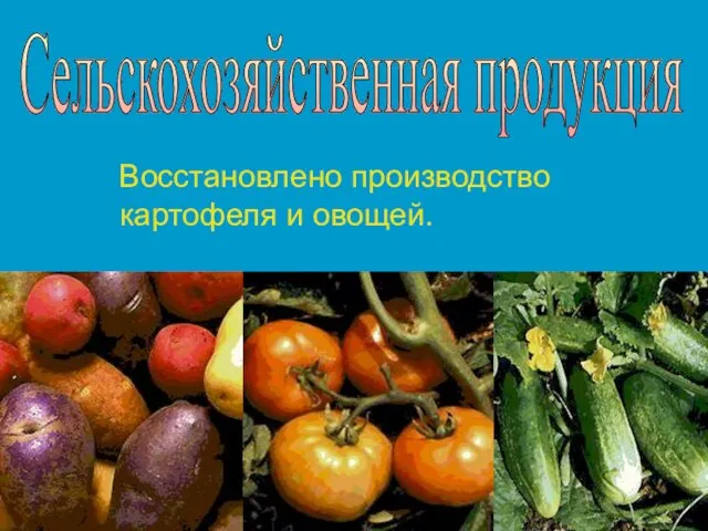 Восстановлено производство картофеля и овощей. Сельскохозяйственная продукция