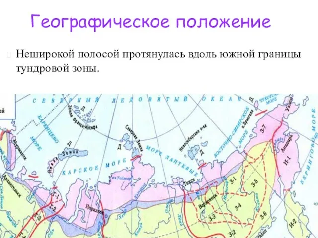 Неширокой полосой протянулась вдоль южной границы тундровой зоны. Географическое положение