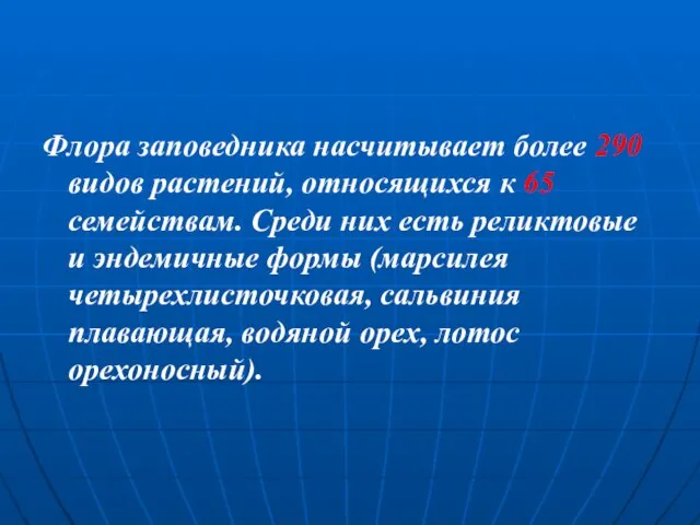 Флора заповедника насчитывает более 290 видов растений, относящихся к 65 семействам. Среди