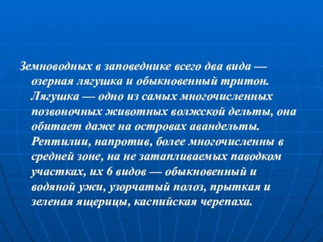 Земноводных в заповеднике всего два вида — озерная лягушка и обыкновенный тритон.