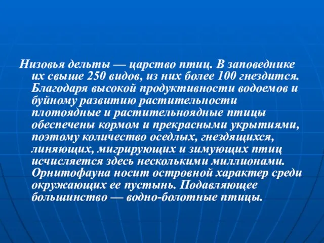 Низовья дельты — царство птиц. В заповеднике их свыше 250 видов, из