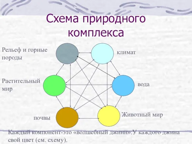 Схема природного комплекса климат вода Животный мир почвы Растительный мир Рельеф и