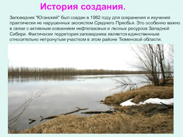 Заповедник "Юганский" был создан в 1982 году для сохранения и изучения практически