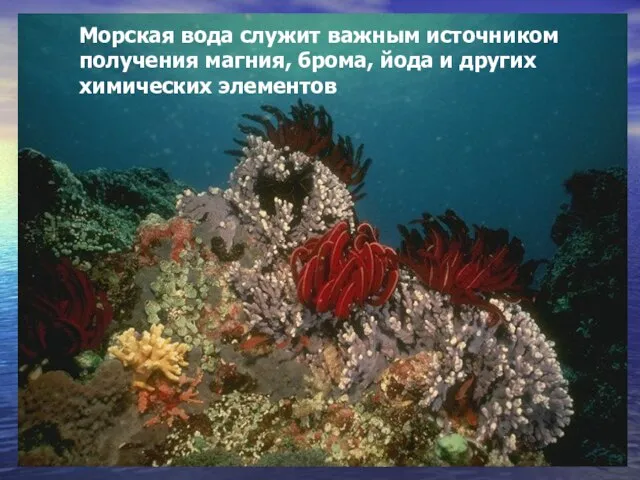 Морская вода служит важным источником получения магния, брома, йода и других химических элементов