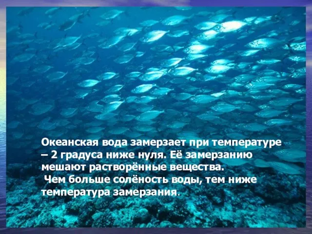 Океанская вода замерзает при температуре – 2 градуса ниже нуля. Её замерзанию