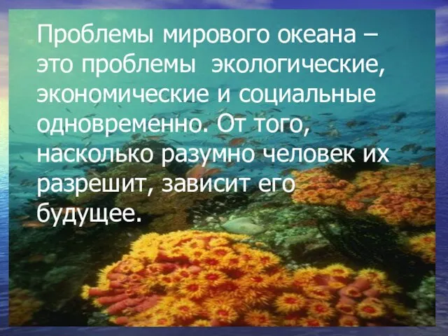 Проблемы мирового океана – это проблемы экологические, экономические и социальные одновременно. От