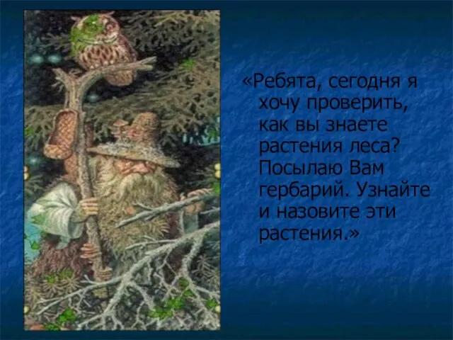 «Ребята, сегодня я хочу проверить, как вы знаете растения леса? Посылаю Вам