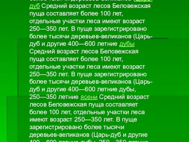 Беловежская пуща является уникальным и крупнейшим массивом древних лесов, типичных для равнин