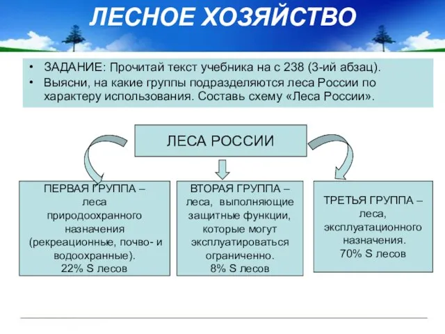 ЛЕСНОЕ ХОЗЯЙСТВО ЗАДАНИЕ: Прочитай текст учебника на с 238 (3-ий абзац). Выясни,