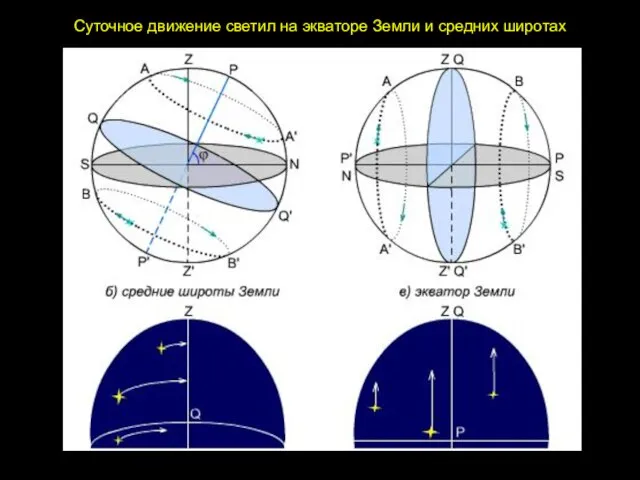 Суточное движение светил на экваторе Земли и средних широтах