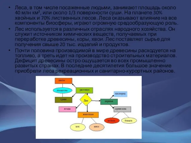 Леса, в том числе посаженные людьми, занимают площадь около 40 млн км²,