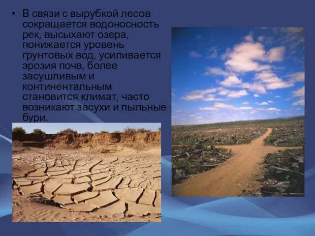 В связи с вырубкой лесов сокращается водоносность рек, высыхают озера, понижается уровень