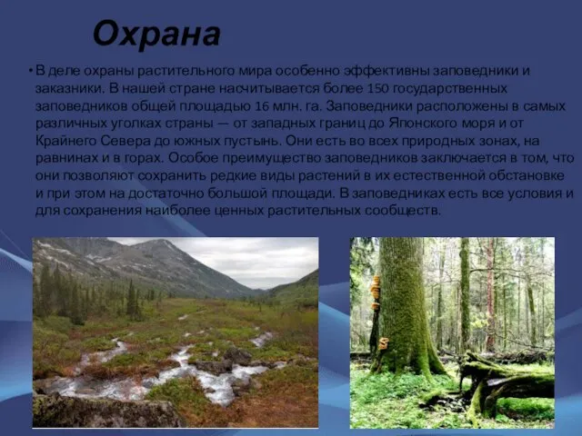 Охрана В деле охраны растительного мира особенно эффективны заповедники и заказники. В