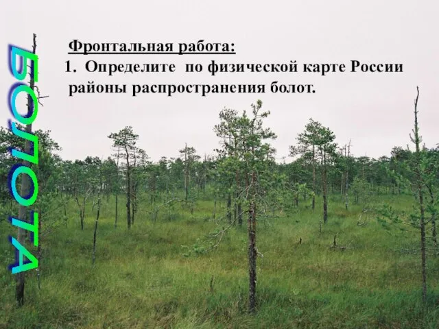 Фронтальная работа: Определите по физической карте России районы распространения болот. БОЛОТА