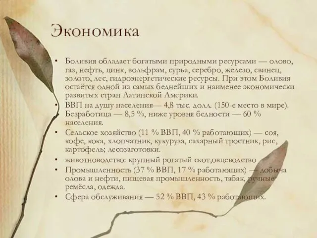 Экономика Боливия обладает богатыми природными ресурсами — олово, газ, нефть, цинк, вольфрам,