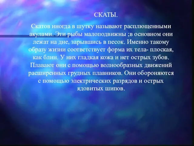 СКАТЫ. Скатов иногда в шутку называют расплющенными акулами. Эти рыбы малоподвижны ;в