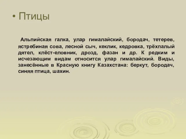 Птицы Альпийская галка, улар гималайский, бородач, тетерев, ястребиная сова, лесной сыч, кеклик,