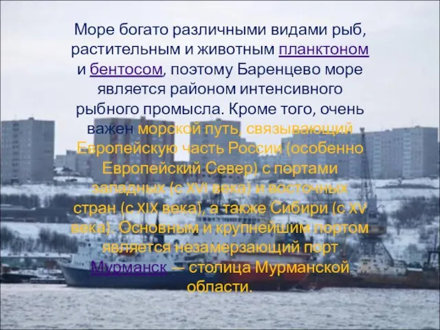 Море богато различными видами рыб, растительным и животным планктоном и бентосом, поэтому