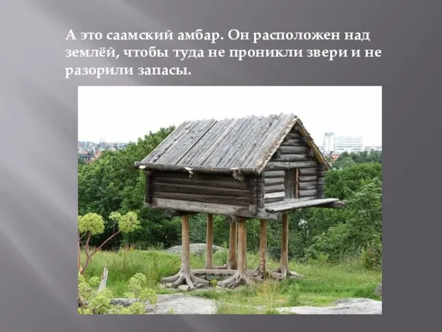 А это саамский амбар. Он расположен над землёй, чтобы туда не проникли