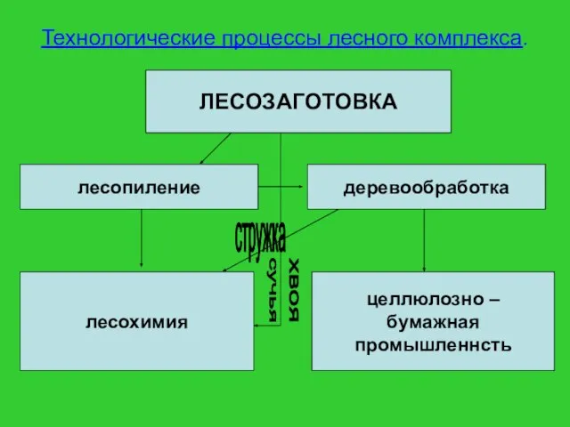 Технологические процессы лесного комплекса. ЛЕСОЗАГОТОВКА лесопиление деревообработка лесохимия целлюлозно – бумажная промышленнсть стружка сучья хвоя