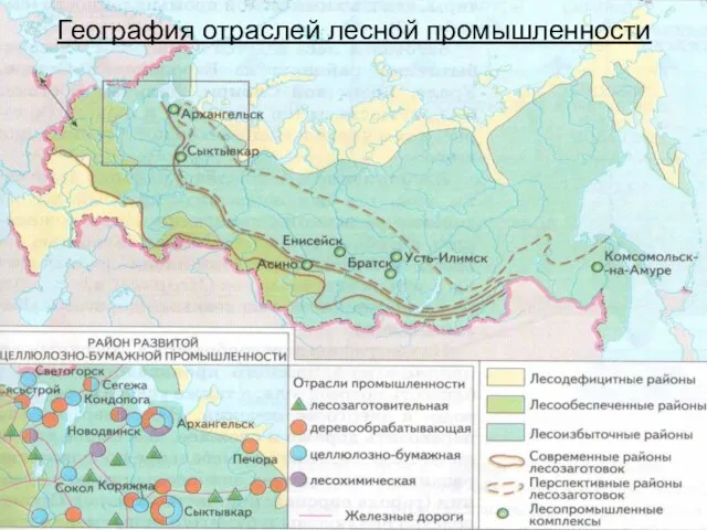 География отраслей лесной промышленности