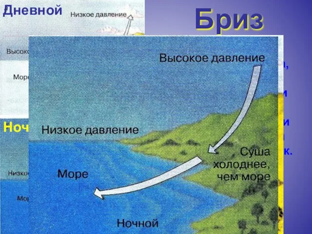 Бриз Дневной Ночной Постоянные ветра, образующиеся в прибрежной части из-за смены температур