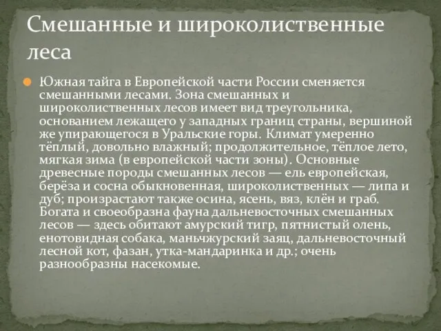 Южная тайга в Европейской части России сменяется смешанными лесами. Зона смешанных и