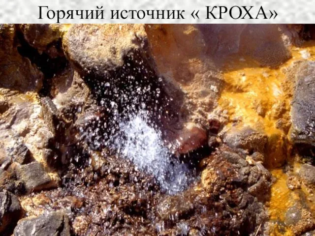 Горячий источник « КРОХА»