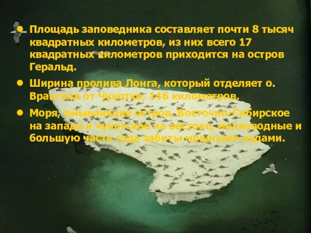 Площадь заповедника составляет почти 8 тысяч квадратных километров, из них всего 17