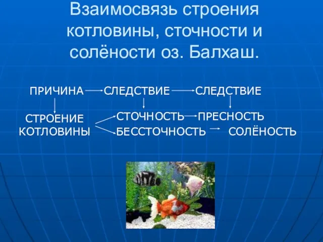 Взаимосвязь строения котловины, сточности и солёности оз. Балхаш. ПРИЧИНА СЛЕДСТВИЕ СЛЕДСТВИЕ СТРОЕНИЕ