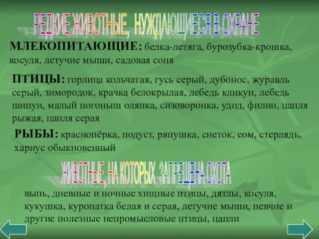 РЕДКИЕ ЖИВОТНЫЕ, НУЖДАЮЩИЕСЯ В ОХРАНЕ МЛЕКОПИТАЮЩИЕ: белка-летяга, бурозубка-крошка, косуля, летучие мыши, садовая