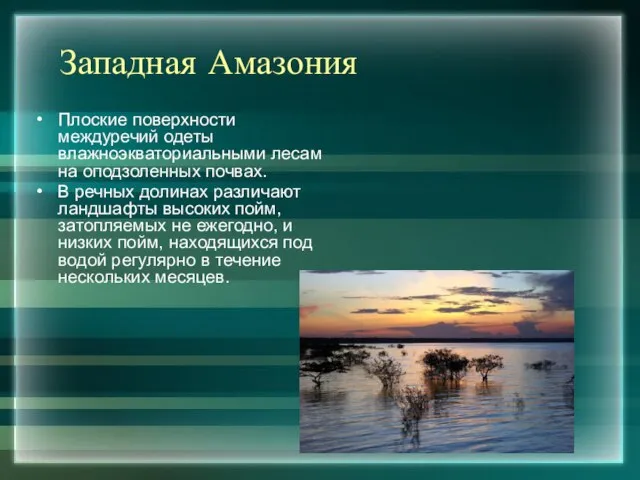 Западная Амазония Плоские поверхности междуречий одеты влажноэкваториальными лесам на оподзоленных почвах. В