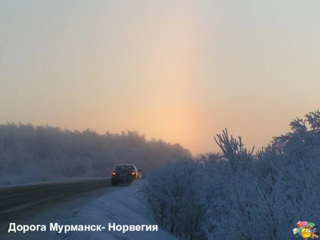 Дорога Мурманск- Норвегия