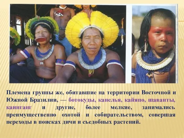Племена группы же, обитавшие на территории Восточной и Южной Бразилии, — ботокуды,
