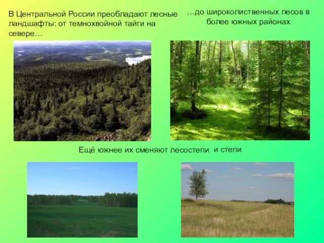 В Центральной России преобладают лесные ландшафты: от темнохвойной тайги на севере… …до
