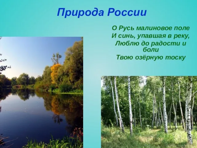Природа России О Русь малиновое поле И синь, упавшая в реку, Люблю