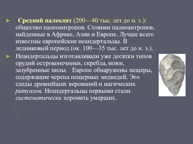 Средний палеолит (200—40 тыс. лет до н. э.): общество палеоантропов. Стоянки палеоантропов,