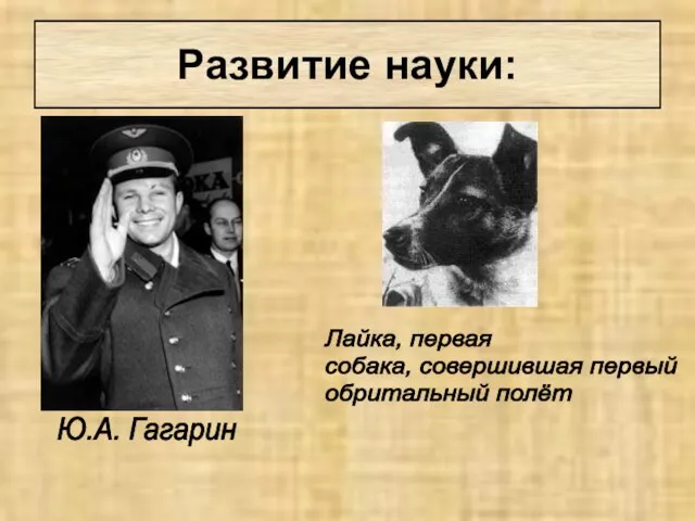 Ю.А. Гагарин Лайка, первая собака, совершившая первый обритальный полёт Развитие науки: