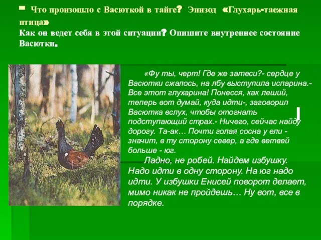 - Что произошло с Васюткой в тайге? Эпизод «Глухарь-таежная птица» Как он