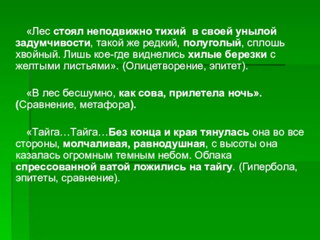 «Лес стоял неподвижно тихий в своей унылой задумчивости, такой же редкий, полуголый,