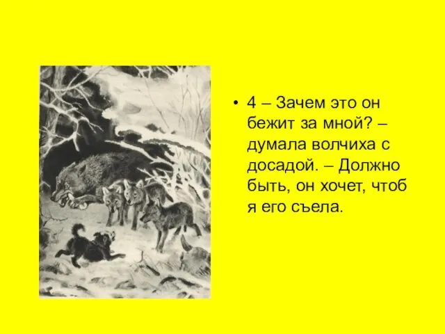 4 – Зачем это он бежит за мной? – думала волчиха с